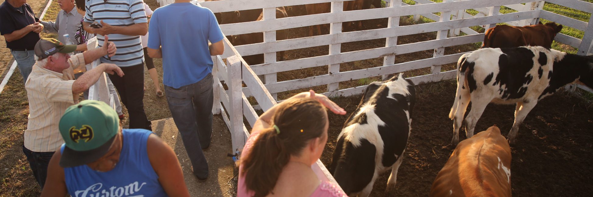 Animais2_Credito Frederico Sehn