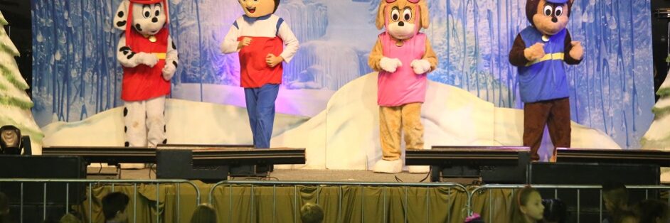 Festival Infantil_Crédito Frederico Sehn