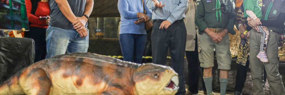 Paleontologia_Crédito LifeMkt_Divulgação